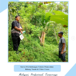 Pengukuran Teliti untuk Pemecahan Bidang Tanah yang Tepat. Kantor Pertanahan Kota Magelang laksanakan survei lapang dalam rangka pertimbangan teknis.