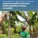 Kampung Reforma Agraria Baumata di Kupang, Capai Kemandirian Ekonomi Melalui Budidaya Pisang Cavendish