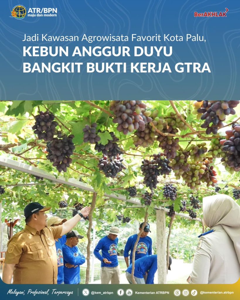Jadi Kawasan Agrowisata Favorit Kota Palu, Kebun Anggur Duyu Bangkit Bukti Kerja GTRA