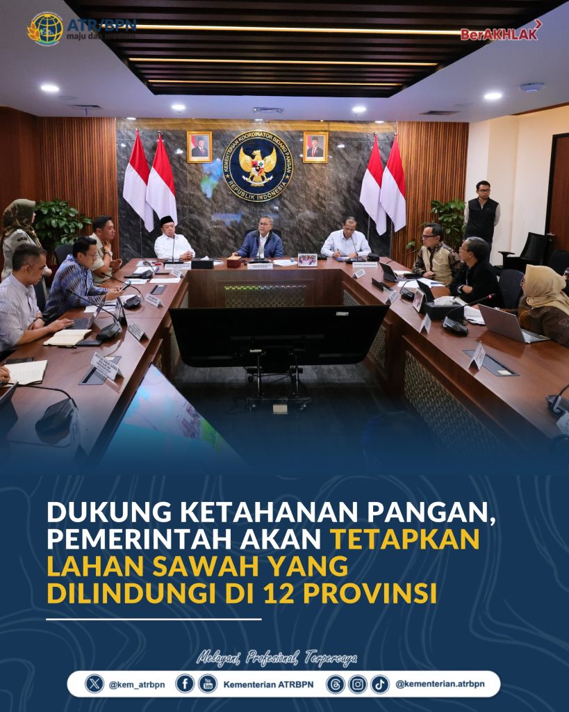 Dukung Ketahanan Pangan, Pemerintah Akan Tetapkan Lahan Sawah yang Dilindungi di 12 Provinsi